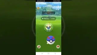 catching a hundo Mareep in Pokemon go
