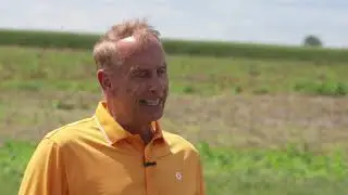 The Future of OSU Wheat
