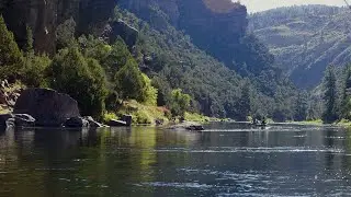 Dry Fly Fishing on Green River below Flaming Gorge Dam Sept 2022
