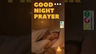 Lord, after a long day, grant me peace tonight & strength for tomorrow.  #GoodNightPrayer #shorts