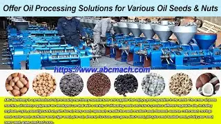 Single Screw Oil Press Machine | High-Efficiency Oil Extraction for Profitable Oil Production Line