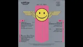 B.A.T. &lrm;&ndash; (There's A) Bat In My House