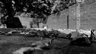 Jimmy Clifton - Hello Fall [Official Lyric Video]
