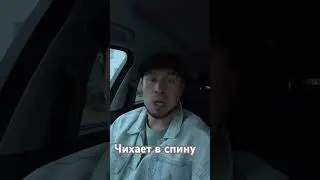 Чихает в спину
