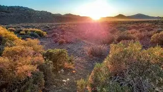 Simple Earth Channel Trailer S1 - Homesteading From Scratch in The Karoo Desert