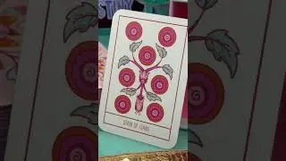 7 of coins, Cute Pink Deck  #whatscomingupinlovelife