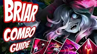Complete Briar Combo Guide &ndash; Beginner to Advanced | All Ranks
