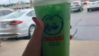 mini vlog