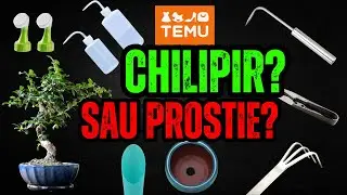 Bonsai pe buget? Testez scule ieftine de pe TEMU!