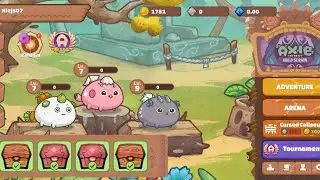 PLANT BIRD MECH DAMAGE TEAM Arena Gameplay / Axienfinity Classic Gameplay 2024 / Lunacian Leaks