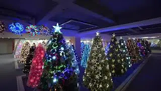 2025 Christmas Tree | Come check out our Fiber Optic Christmas tree shop! #christmas #christmastree