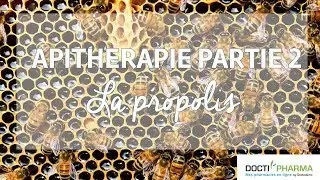 Qu'est-ce que la propolis ? Comment l'utiliser ?
