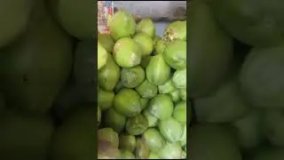#West Bengal tender coconut || #9805827025  || #Kolkata coconut