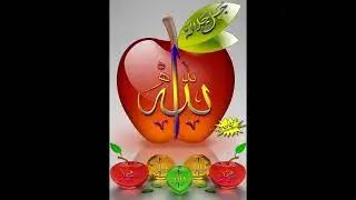 Allah is great. #viralvideo #trending #viralvideo ❤️🙂