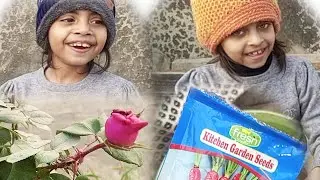 Planting Vegetable Seeds After Delay | Simple Home Gardening Vlog