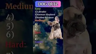 ARE YOU A REAL DOG LOVER? 🐾❤️ #quiz #dog #doglover #quiztime