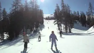 MVIV0028