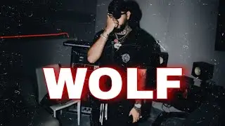 MIDNVGHT x SOMBRA PR x YNT SOSA  TYPE BEAT'WOLF' | DETROIT TRAP 2025