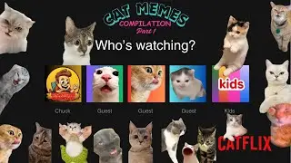 CAT MEMES : 8 Episodes Compilation Part 1