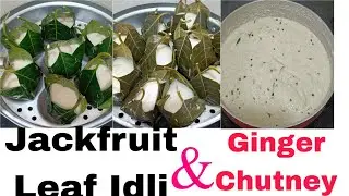 Kotte Idli | Jackfruit Leaf Idli | Traditional Gunda Idli Recipe 😋🌿ಹಲಸಿನ  ಎಲೆಯ ಕೊಟ್ಟೆ ಇಡ್ಲಿ