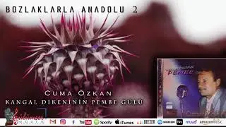 Keşke Gelmeseydim Yalan Dünyaya - Cuma Özkan