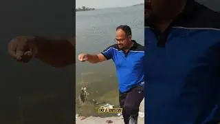 Small Tilapia Fish!! #fishing #viral #shorts