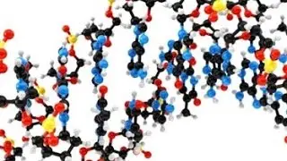 Cancer: The Future of a Cure