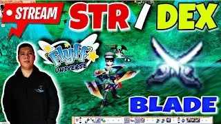 BLADE STR AND DEX BUILD  | FLYFF UNIVERSE