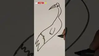 Crane bird Drawing in Seconds!