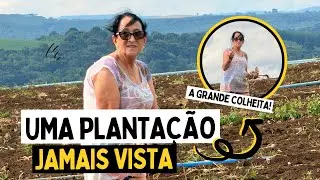 O AGRO &Eacute; TOP! V&Oacute; DO GRAU E MANINHO DO GRAU | TENTE N&Atilde;O RIR 2026