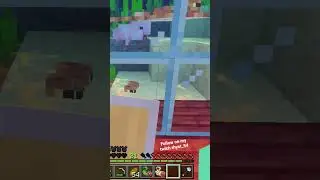 minecraft stingray🔥