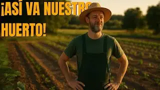Ya casi tenemos el huerto completo! Plantamos tomates, maíz y más