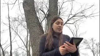 Two Cents in Two Minutes: Celebrities