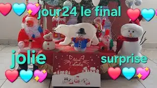 Calendrier de l'avent chat le 24 c'est Noël surprise magnifique
