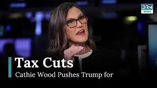 Cathie Wood Urges Trump for Retroactive Tax Cuts | News Today | AC15