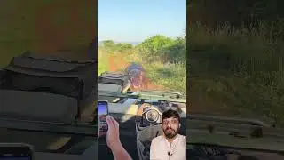 A angry Hippo Attack on a Car🔥💥 #wildlife #automobile #leopard #hippo