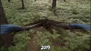 Microraptor evolution 2011&ndash;2021