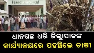 Farmers Reach Gajapati District Collector's Office With Paddy Straw As Farmers Face Ruin | News
