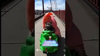 🦖 5. Dino Ride Gone Wrong in San Francisco 😼🌉 #catwizard #funny #halloween #disney #cute