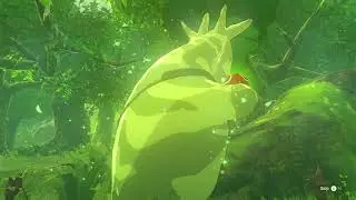 #1042 The Legend of Zelda-Tears of the Kingdom: Completing the Walton's Treasure Hunt Side Quest