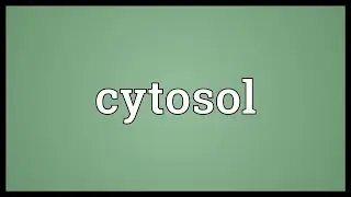 Cytosol Meaning