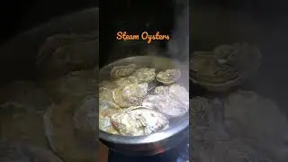 Steam oysters for 6-8 minutes as they open #oysters #yummy  #shorts #youtubeshorts #viral