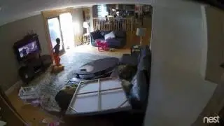 Amazing!!! Crazy DEER crashes into a living room wall