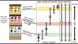 Relative Dating Techniques