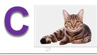 Digital Teaching Learning Resources- Alphabets (1)