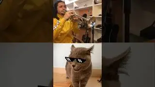 Most Viral Cat Song 🙀😹 #cat