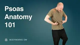 Psoas Anatomy 101 | Understanding the Deep Core Muscle | NYC Medical Massage Education