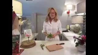 Herb Scissors
