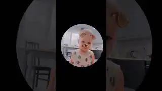 Любитель потанцевать #собака #dog #pedro #baby #танцы #dance #music #малыш #длядетей #приколы
