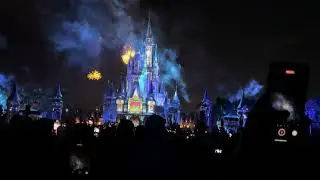 Colourful Fireworks Disney's Magic Kingdom